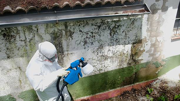 Top rated local Mold Remediation specialists in Oakton, VA
